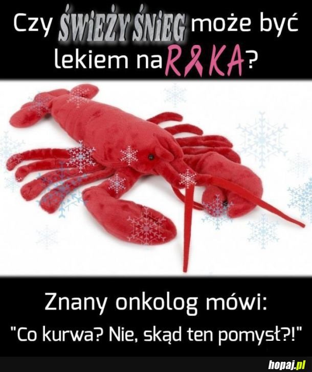 Wspaniały pomysł