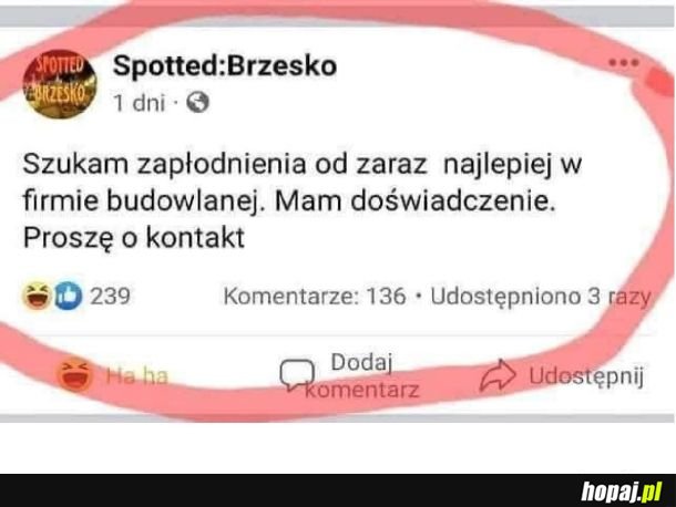 Budowlańcy dobrze zarabiają!