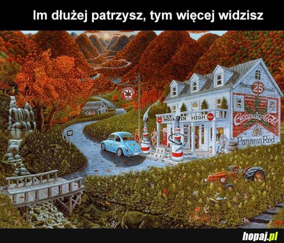 Zobacz więcej...