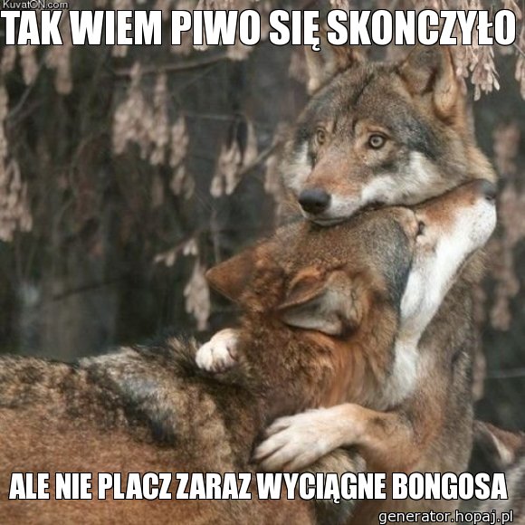 TAK WIEM PIWO SIĘ SKONCZYŁO