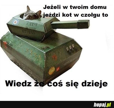 Jeżeli w Twoim domu jeździ kot w czołgu...