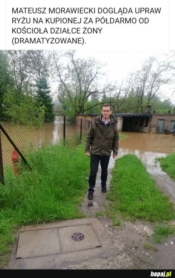 Dzielny Mateusz Morawiecki 