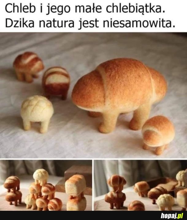 Natura jest piękna