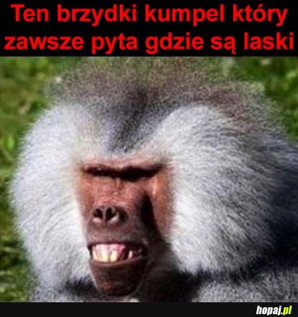 ZAWSZE TAKI JEST