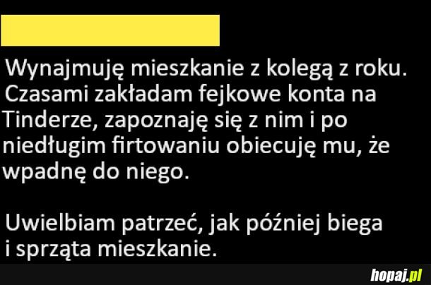 Dobry sposób na współlokatora brudasa