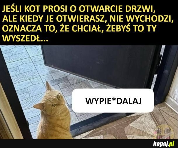 Drzwi