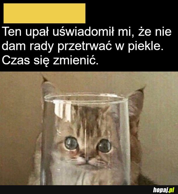No cóż, pora się zmienić