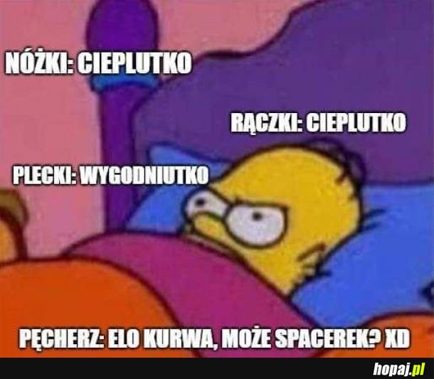 Zawsze 