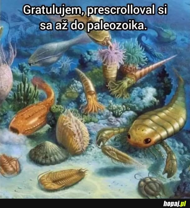 Scrolluj dalej