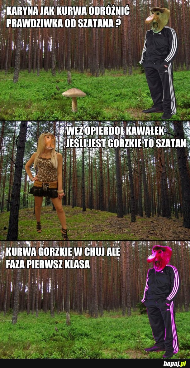 HEHESZKI NA GRZYBACH