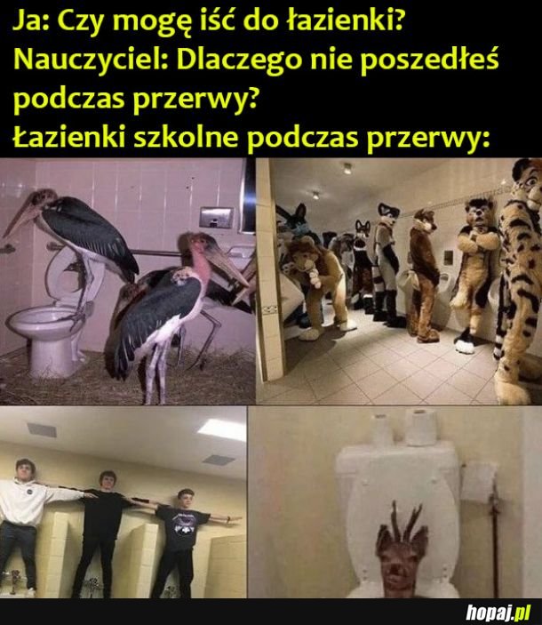 Łazienka w szkole