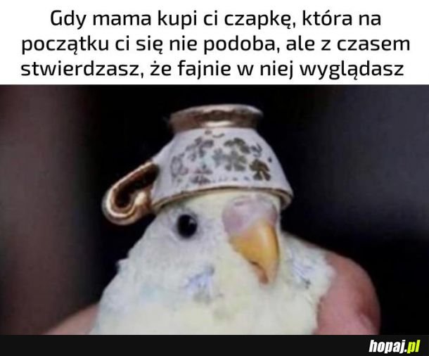 Czapka