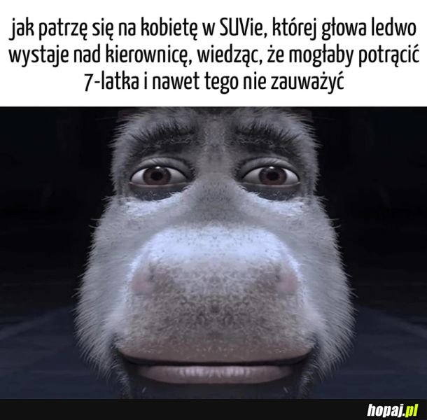 SUVy
