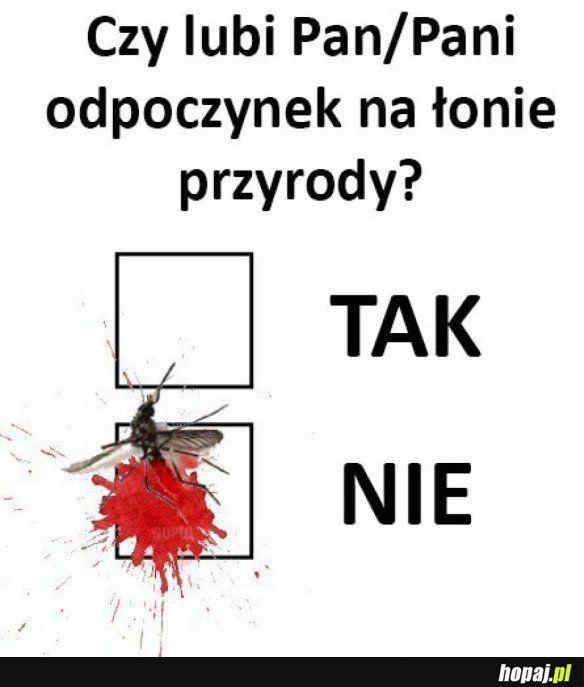 Heheszki