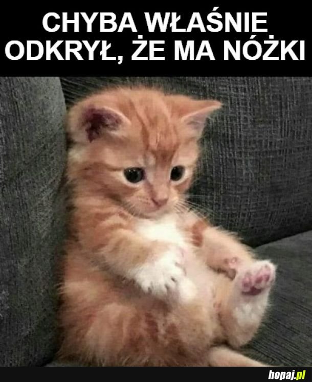 Zamurowało