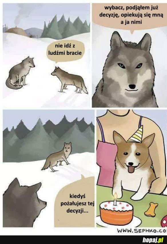 Zła decyzja