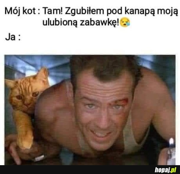Poszukiwania