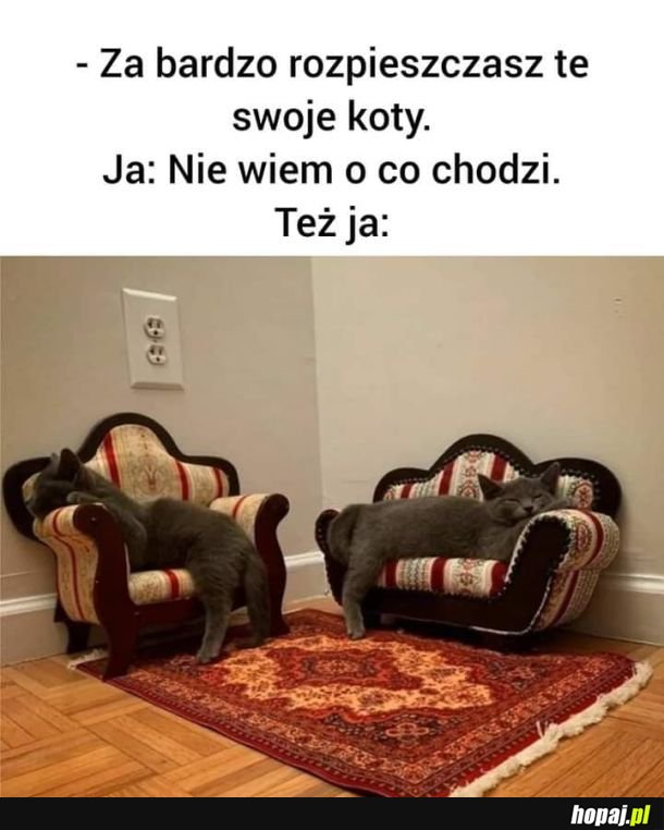 Komfort