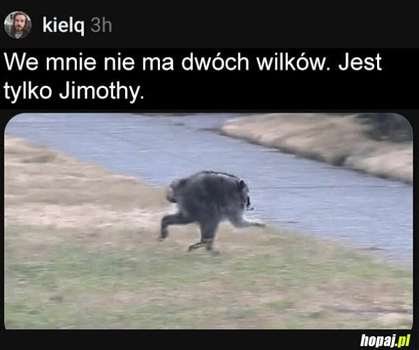 Jimothy
