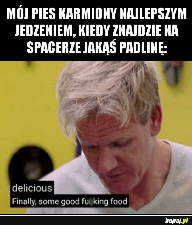 PSY TAKIE SĄ