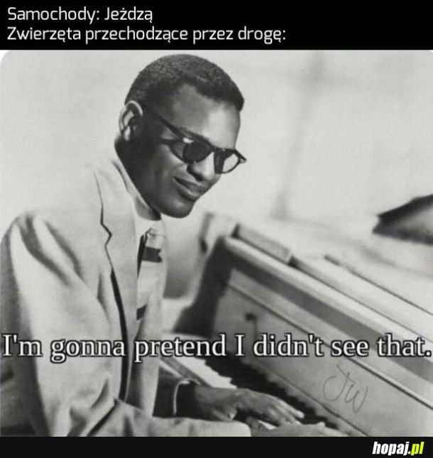 Zwierzęta 