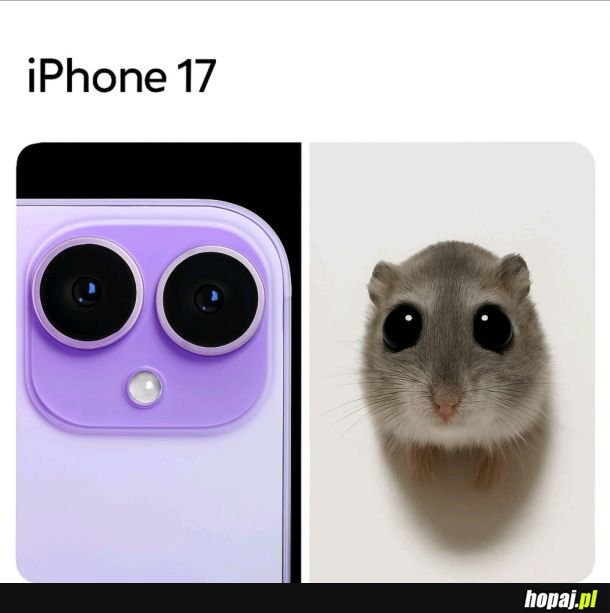 A teraz to odzobacz