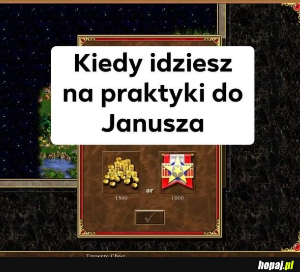 Praktyki u Janusza