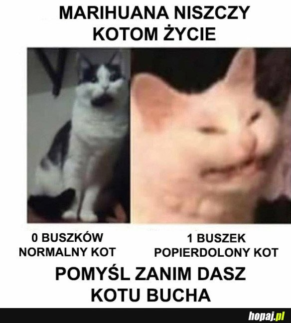 NIEBEZPIECZEŃSTWO BUSZKA