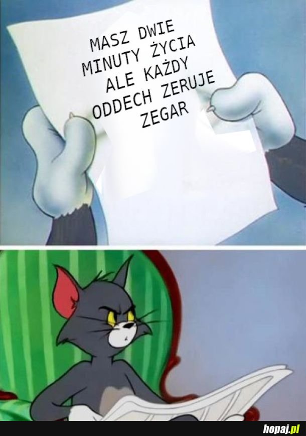 Coś w tym jest