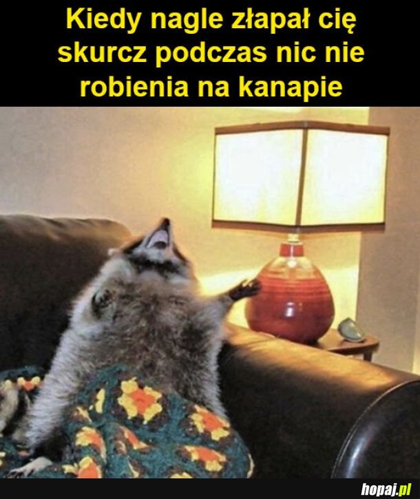 Zdarza się