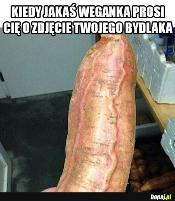 TAK SIĘ PODRYWA WEGANKI