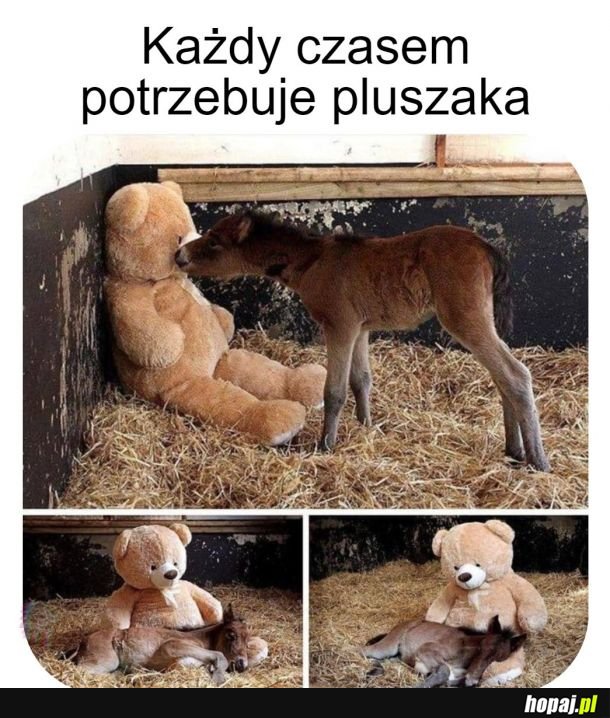 Dobrze jest się przytulić