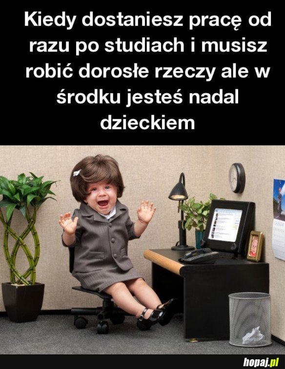 KIEDY DOSTANIESZ PRACĘ OD RAZU PO STUDIACH