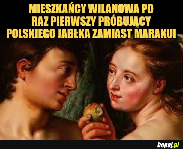 Jabłko. 