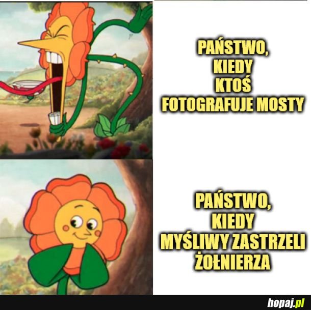 Państwo.