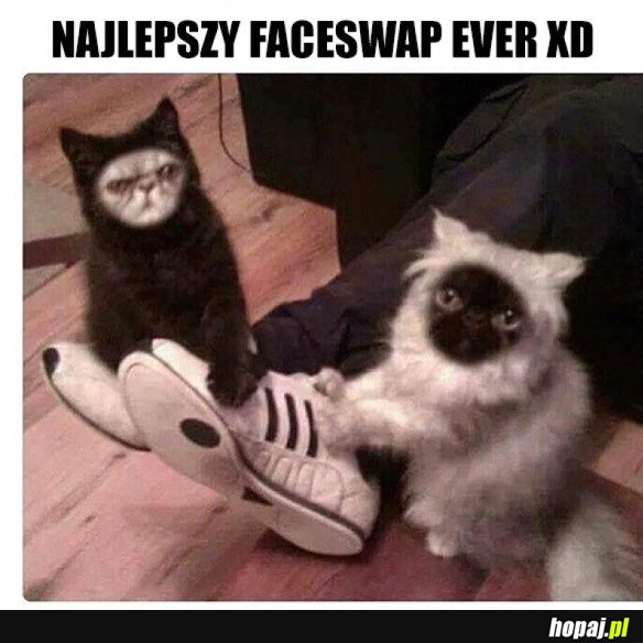 NIESPODZIEWANY FACESWAP