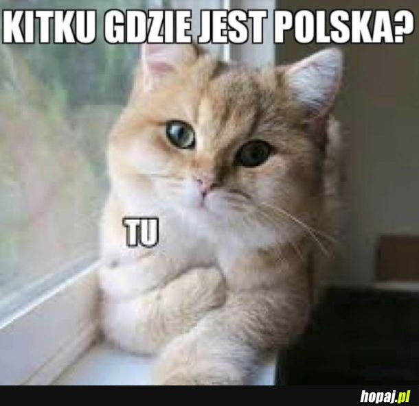 Zobaczmy ile jest patriotów?