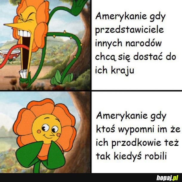 Amerykanie