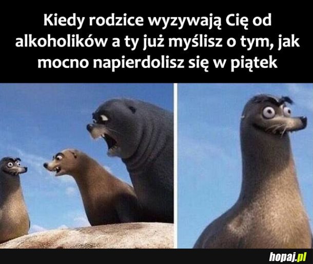 Już czekam