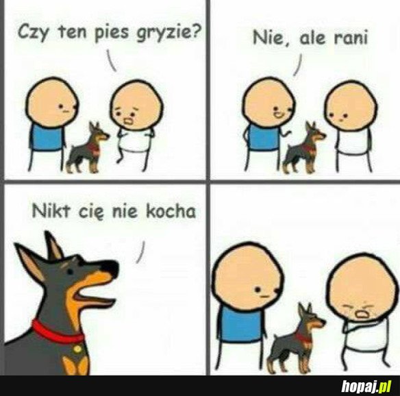PIES KTÓRY RANI