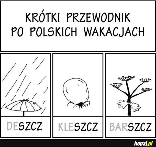 POLSKIE WAKACJE