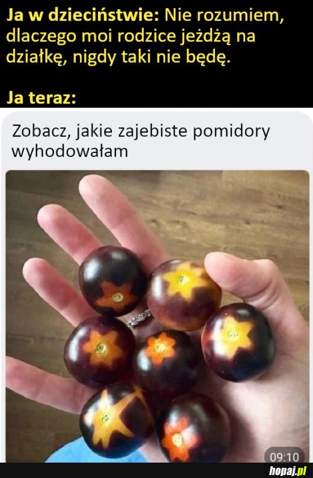 Się pozmieniało