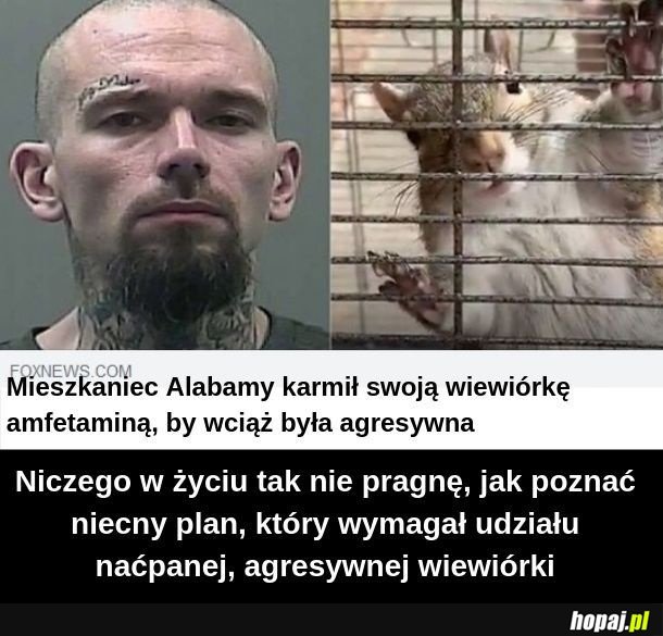 Alabama Man i naćpana wiewiórka