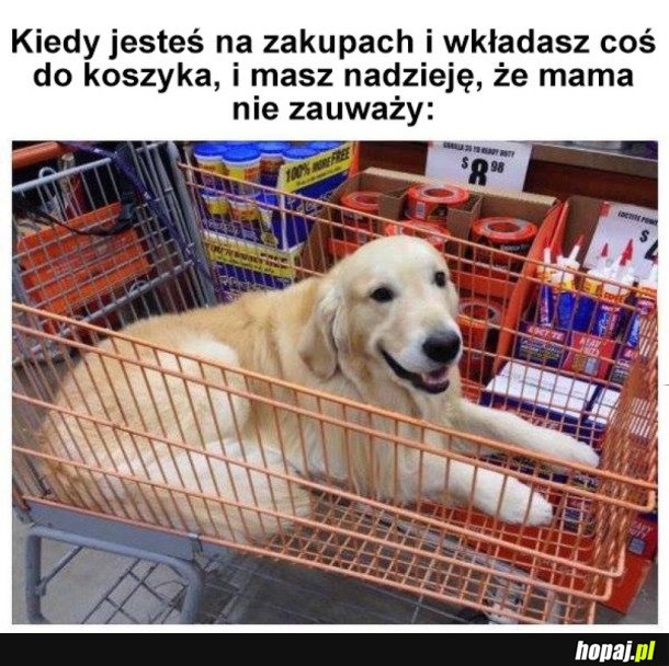 PIESEŁ NA DOBRY POCZĄTEK DNIA