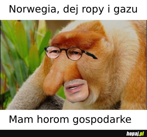 Norwegia