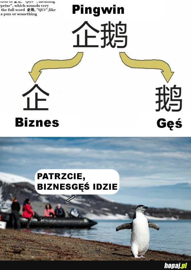 Biznesgęś