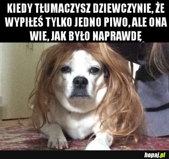 Kiedy tłumaczysz się dziewczynie