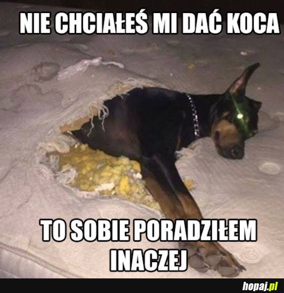 TRZEBA SOBIE RADZIĆ