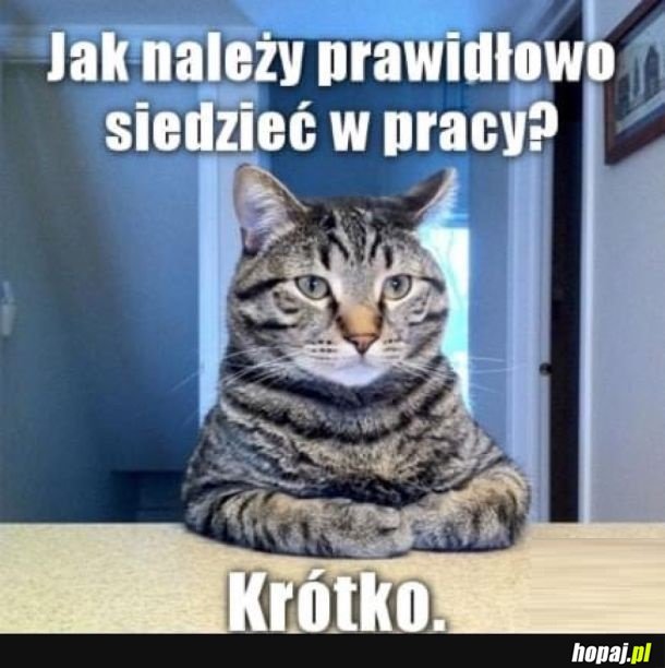 Praca