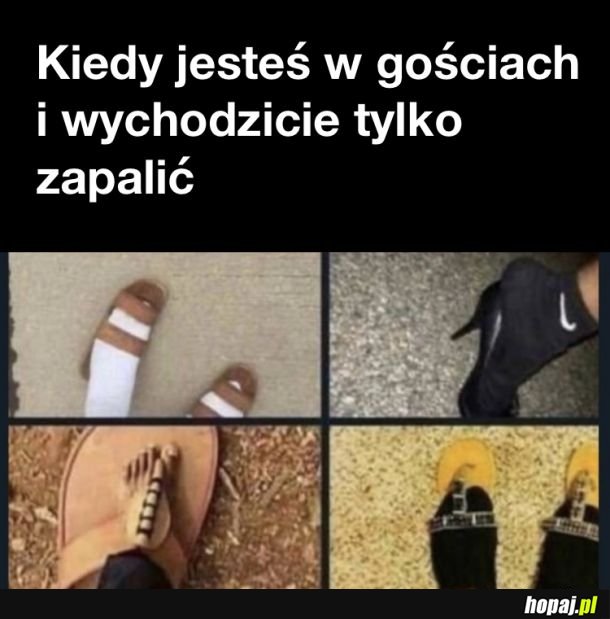 Pasuje